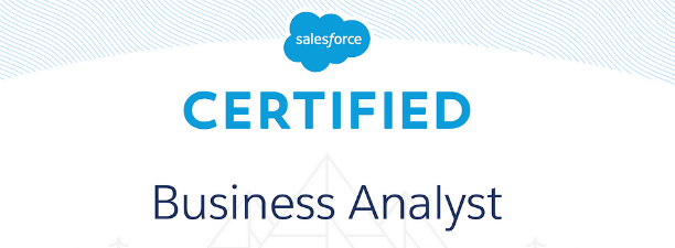 Salesforce Business Analyst