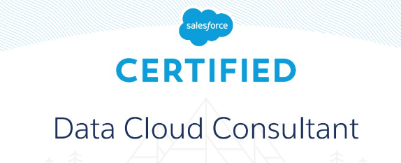 Salesforce Data Cloud Consultant