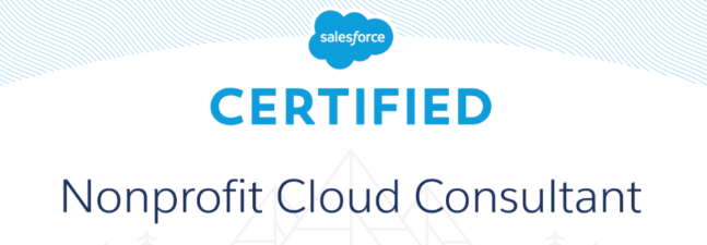 Salesforce Nonprofit Cloud Consultant