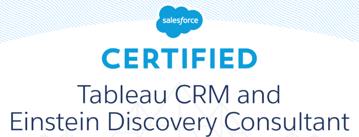 Salesforce Tableau CRM and Einstein Discovery Consultant