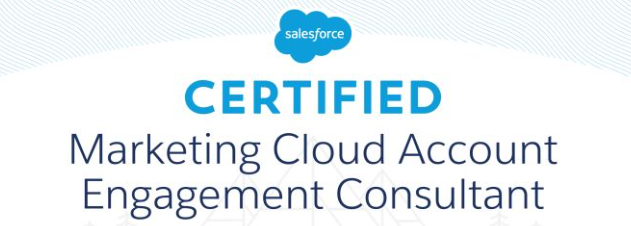 Salesforce Marketing Cloud Account Engagement Consultant