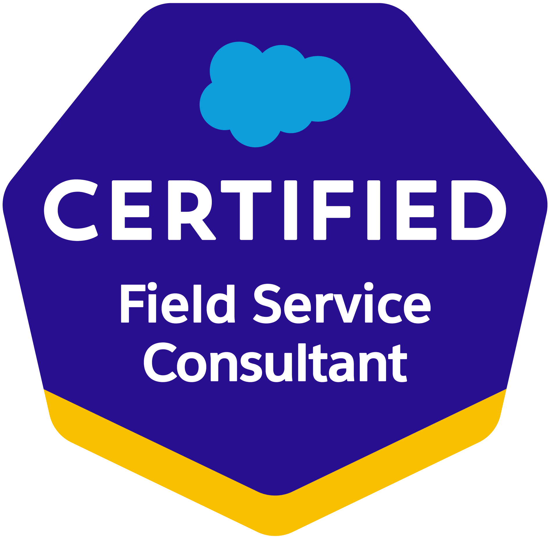 Salesforce Field Service Consultant