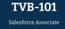 TVB-101: Salesforce Associate