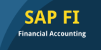 SAP Financial Accounting (FI)