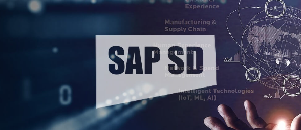 SAP Sales and Distribution (SD)