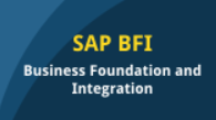 SAP Business Foundation and Integration (BFI)