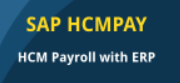 SAP HCM Payroll with ERP (HCMPAY)
