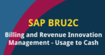 SAP Billing and Revenue Innovation Management - Usage to Cash
