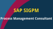 SAP Process Management Consultant