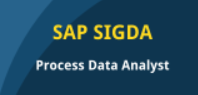 SAP Process Data Analyst